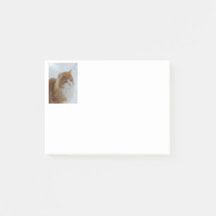 Bloco De Notas Gato_da_Floresta_Norueguesa