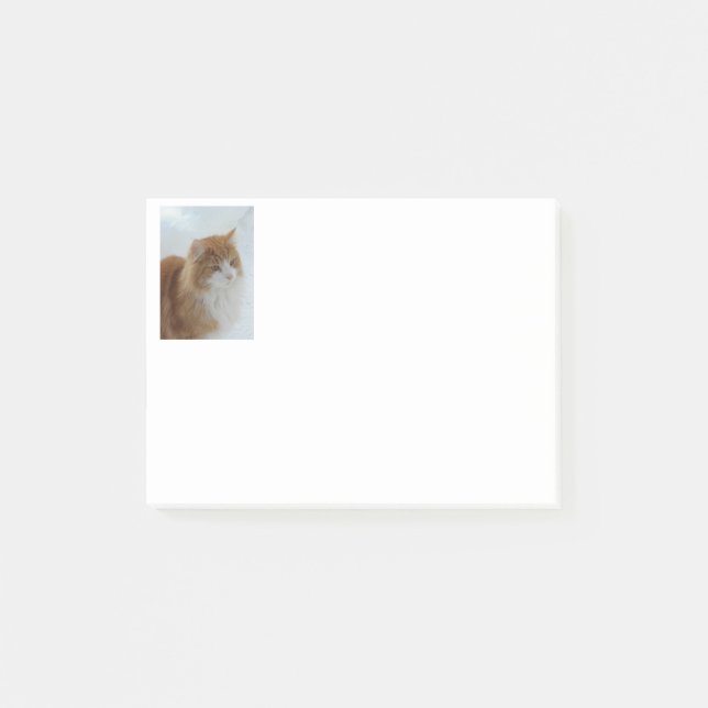 Bloco De Notas Gato_da_Floresta_Norueguesa (Frente)