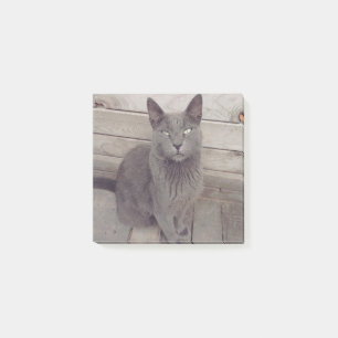 Bloco De Notas Gato de cinza