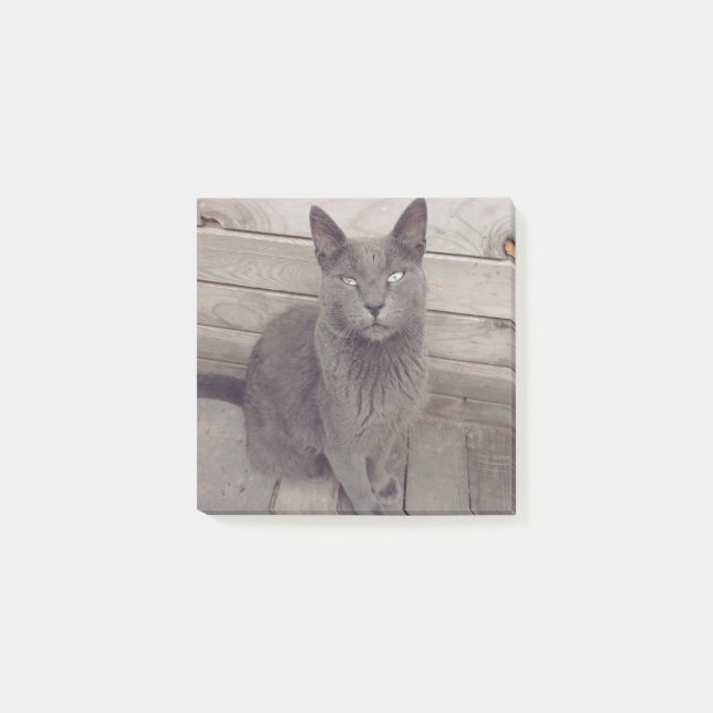 Bloco De Notas Gato de cinza (Frente)