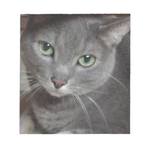 Bloco De Notas Gato de Cinza azul russo