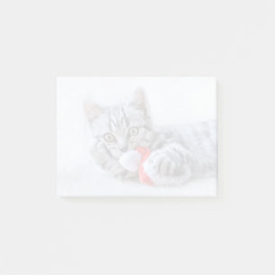 Bloco De Notas Gato de gato malhado cinzento bonito com Xmas do