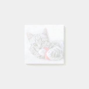 Bloco De Notas Gato de gato malhado cinzento bonito com Xmas do