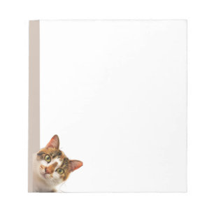 Bloco De Notas Gato Divertido Filhote Olhando para Você Animal Fo