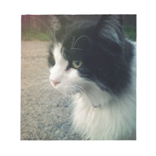 Bloco De Notas Gato do smoking