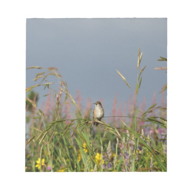 Bloco De Notas Gato-gordo (Frente)