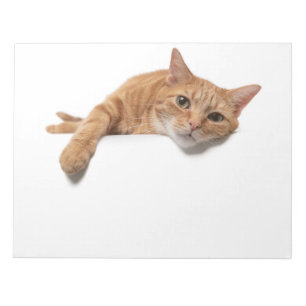 Bloco De Notas Gato Laranja Deitado