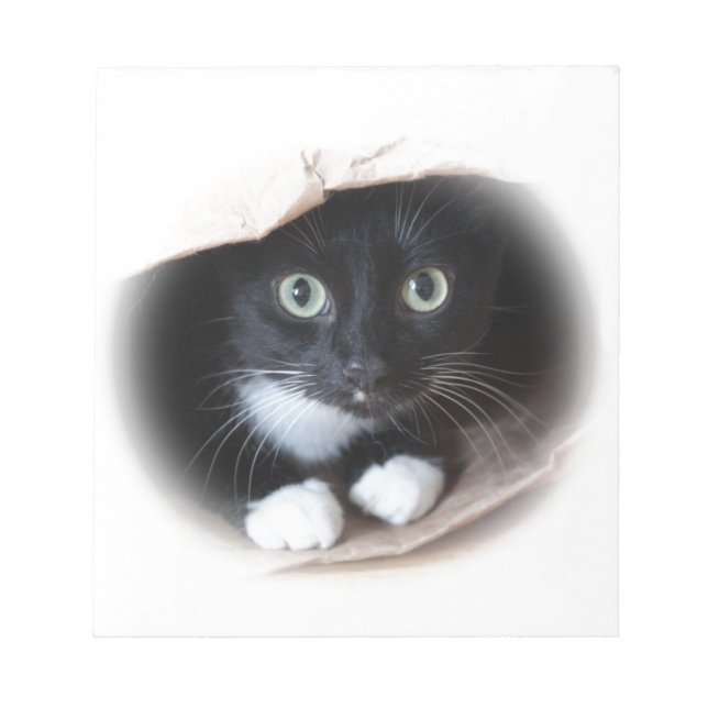 Bloco De Notas Gato numa bolsa (Frente)