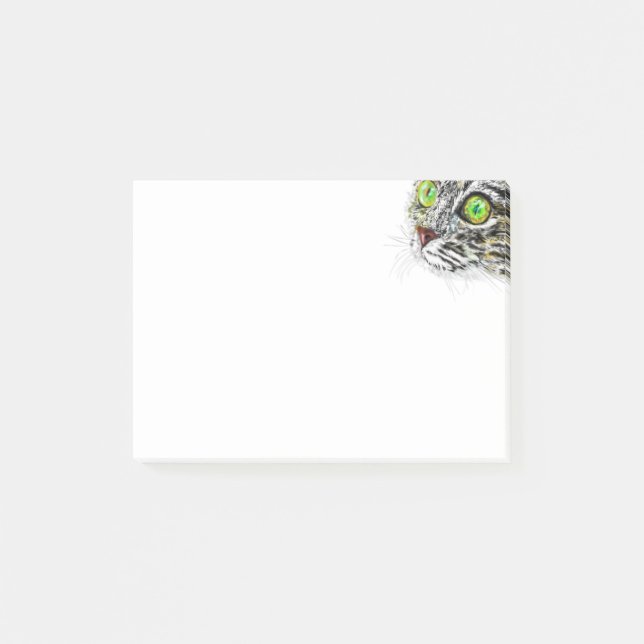 Bloco De Notas Gato Olhado Verde (Frente)