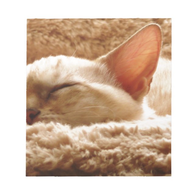 Bloco De Notas Gato Sonolento (Frente)
