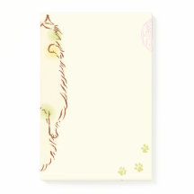 Gato sonolento macio