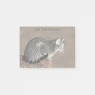 Bloco De Notas Gato Tabby Cinza Defumado