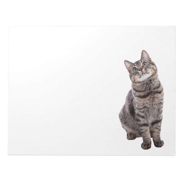 Bloco De Notas Gato Tabby Fofo (Frente)