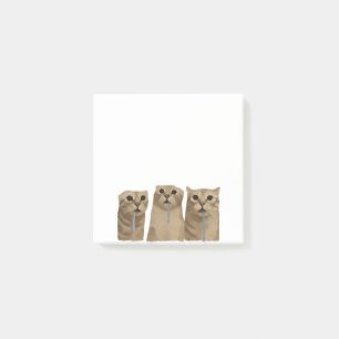 Bloco De Notas Gatos Bobos Triplos Babões Meme