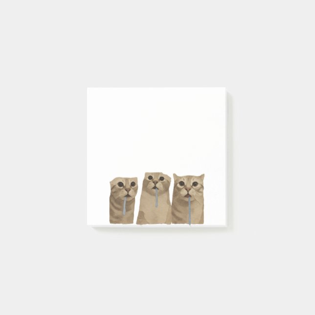 Bloco De Notas Gatos Bobos Triplos Babões Meme (Frente)