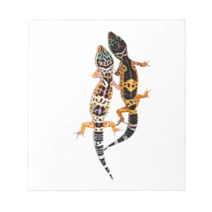 Bloco De Notas Geco de leopardo casal