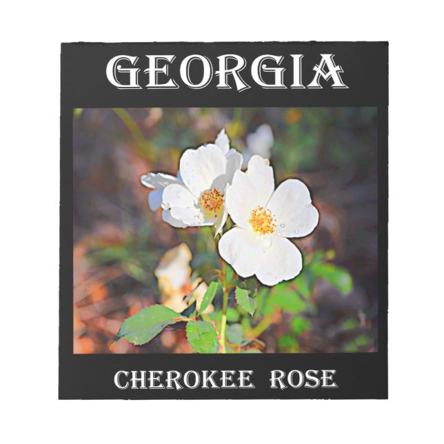 Bloco De Notas Georgia Cherokee Rosa (Frente)
