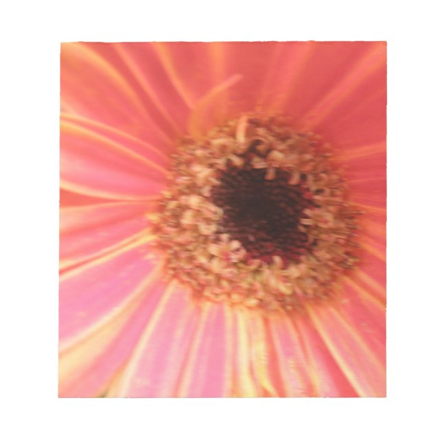 Bloco De Notas Gerbera Daisy Flower Notepad (Frente)