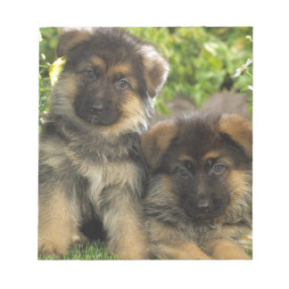 Bloco De Notas German shepherd