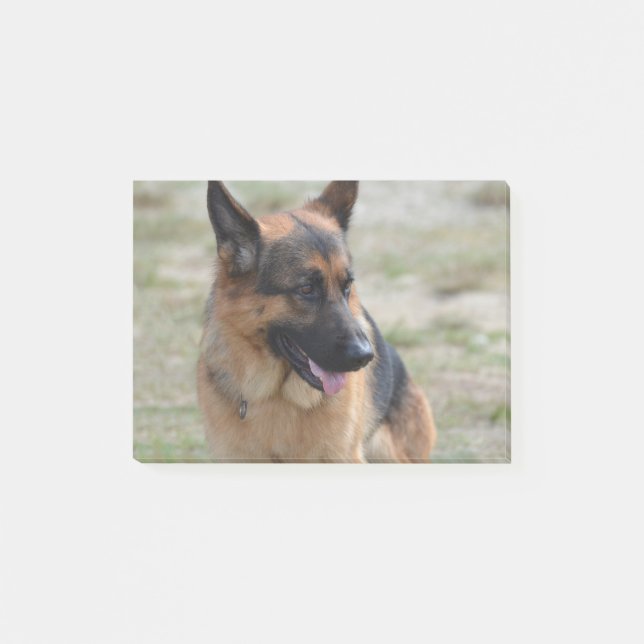 Bloco De Notas German shepherd adorável (Frente)