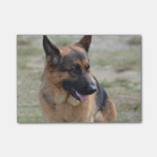 Bloco De Notas German shepherd adorável