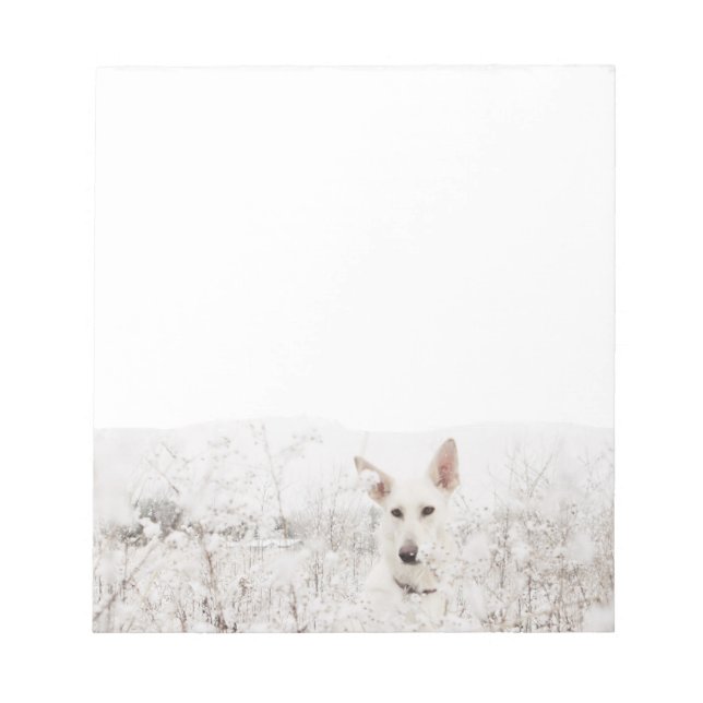 Bloco De Notas German shepherd branco na neve (Frente)