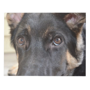 Bloco De Notas German shepherd por Shirley Taylor