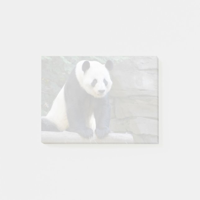 Bloco De Notas Giant Panda Yang Yang no Zoo Atlanta (Frente)