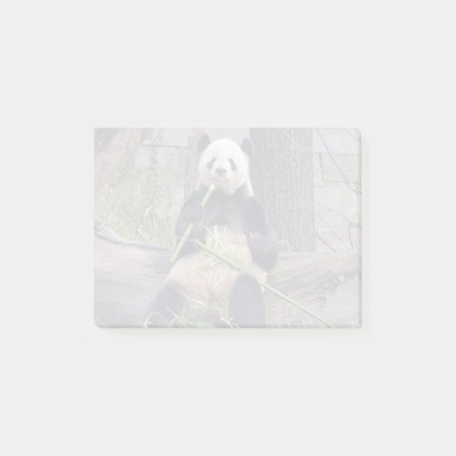 Bloco De Notas Gigante Panda Tian Tian no Zoo Nacional (Frente)