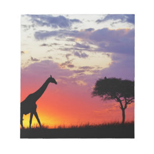 Bloco De Notas Girafa silenciada no nascer do sol, Giraffa