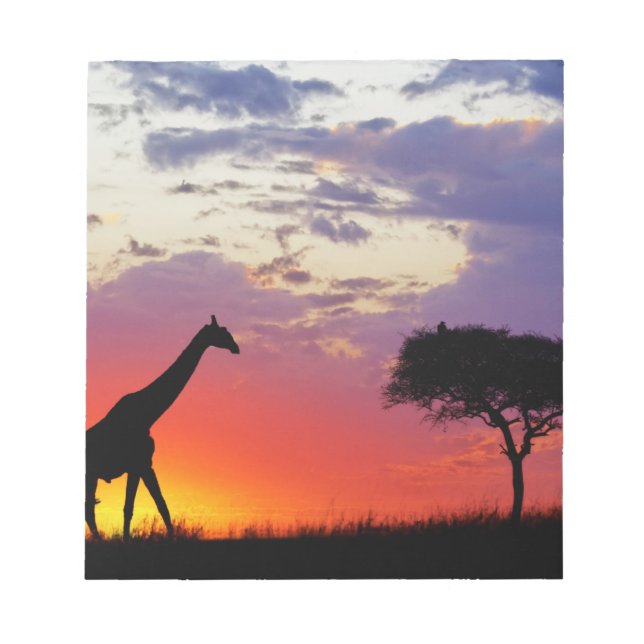 Bloco De Notas Girafa silhuetada ao nascer do sol, Giraffa (Frente)