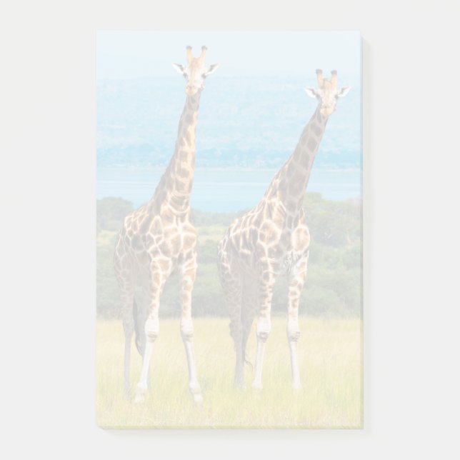 Bloco De Notas Girafas na Savana, Uganda (Frente)
