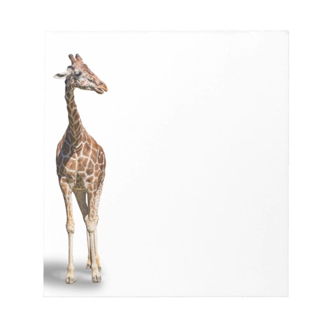 BLOCO DE NOTAS GIRAFFE (Frente)