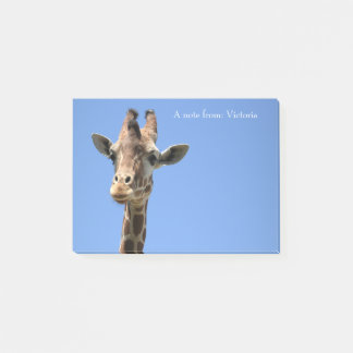 Bloco De Notas Giraffe Name Blue Cute