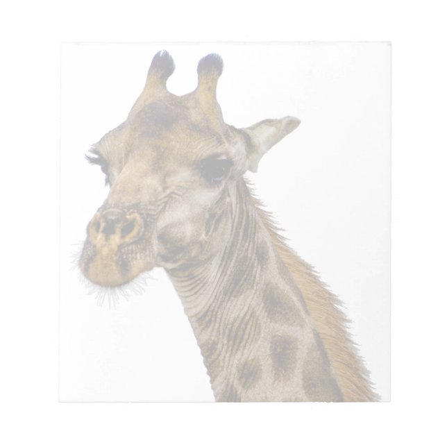 Bloco De Notas Giraffe Notepad (Frente)