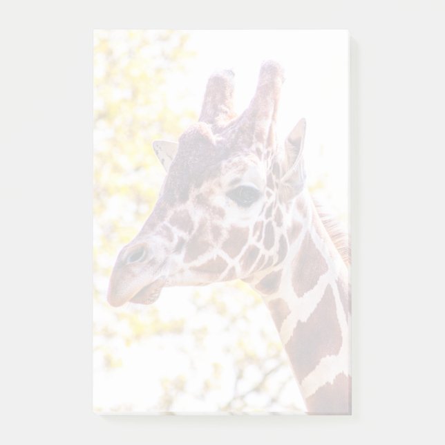 Bloco De Notas Giraffe Portrait (Frente)