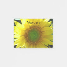 Girassol amarelo brilhante