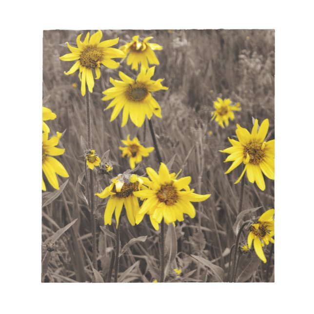 Bloco De Notas Girassol na Montanha Rochosa (Frente)