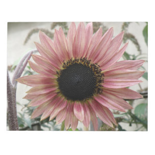 Bloco De Notas Girassol rosa pálido