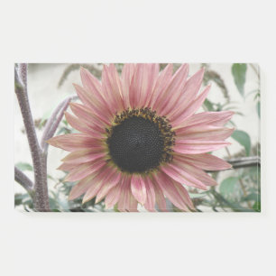 Bloco De Notas Girassol rosa pálido