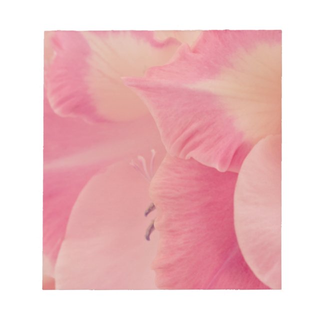 Bloco De Notas Gladiola Petals (Frente)