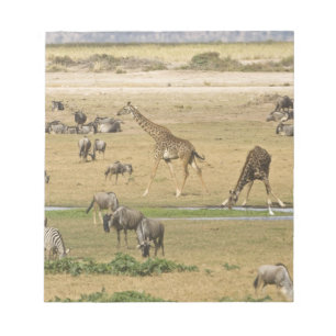 Bloco De Notas Gnus, Zebras e Girafas