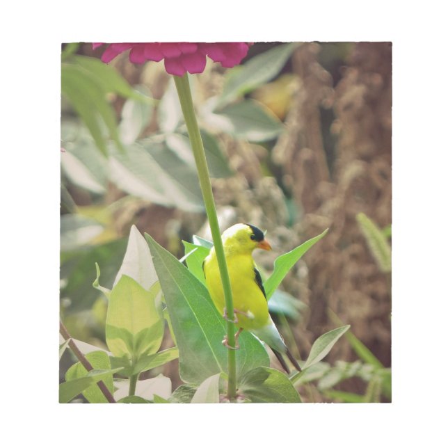 Bloco De Notas Goldfinch (Frente)