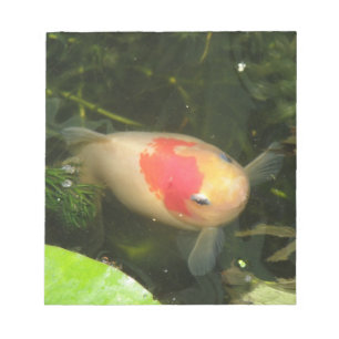 Bloco De Notas Goldfish Notepad