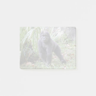 Bloco De Notas Gorilla Moke no zoológico nacional