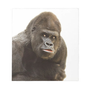 Bloco De Notas Gorilla Pout