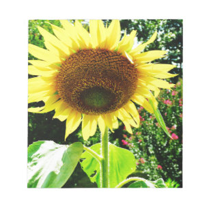 Bloco De Notas Grande girassol amarelo
