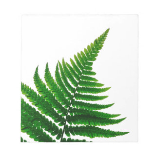 Bloco De Notas Green Fern Print Woodlands Leaf