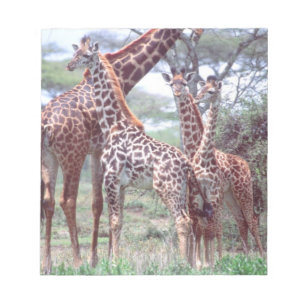 Bloco De Notas Grupo de girafas ou manada com filhotes, Giraffa