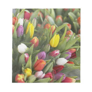 Bloco De Notas Grupos de tulipas coloridas